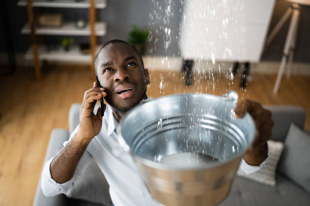 Best Water damage cleanup near me  in Colony Rk, PA