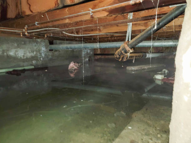 Best Fire Damage Restoration  in Colony Rk, PA
