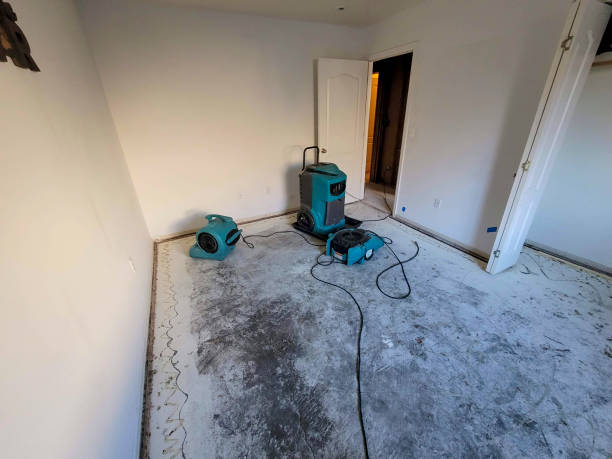 Best Ceiling water damage repair  in Colony Rk, PA