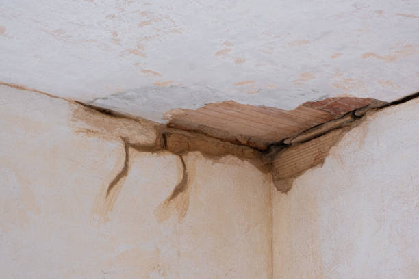Best Local water damage restoration  in Colony Rk, PA