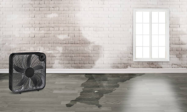 Best Fire Damage Restoration  in Colony Rk, PA