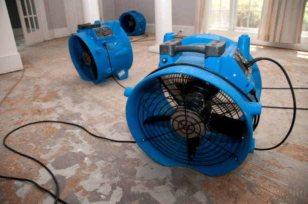 Best Professional water damage repair  in Colony Rk, PA