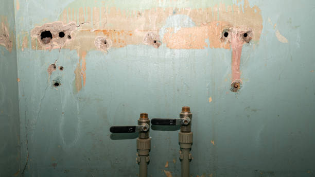 Best 24-hour water damage restoration  in Colony Rk, PA