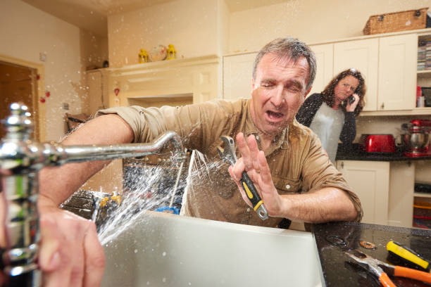 Best Mold removal after water damage  in Colony Rk, PA